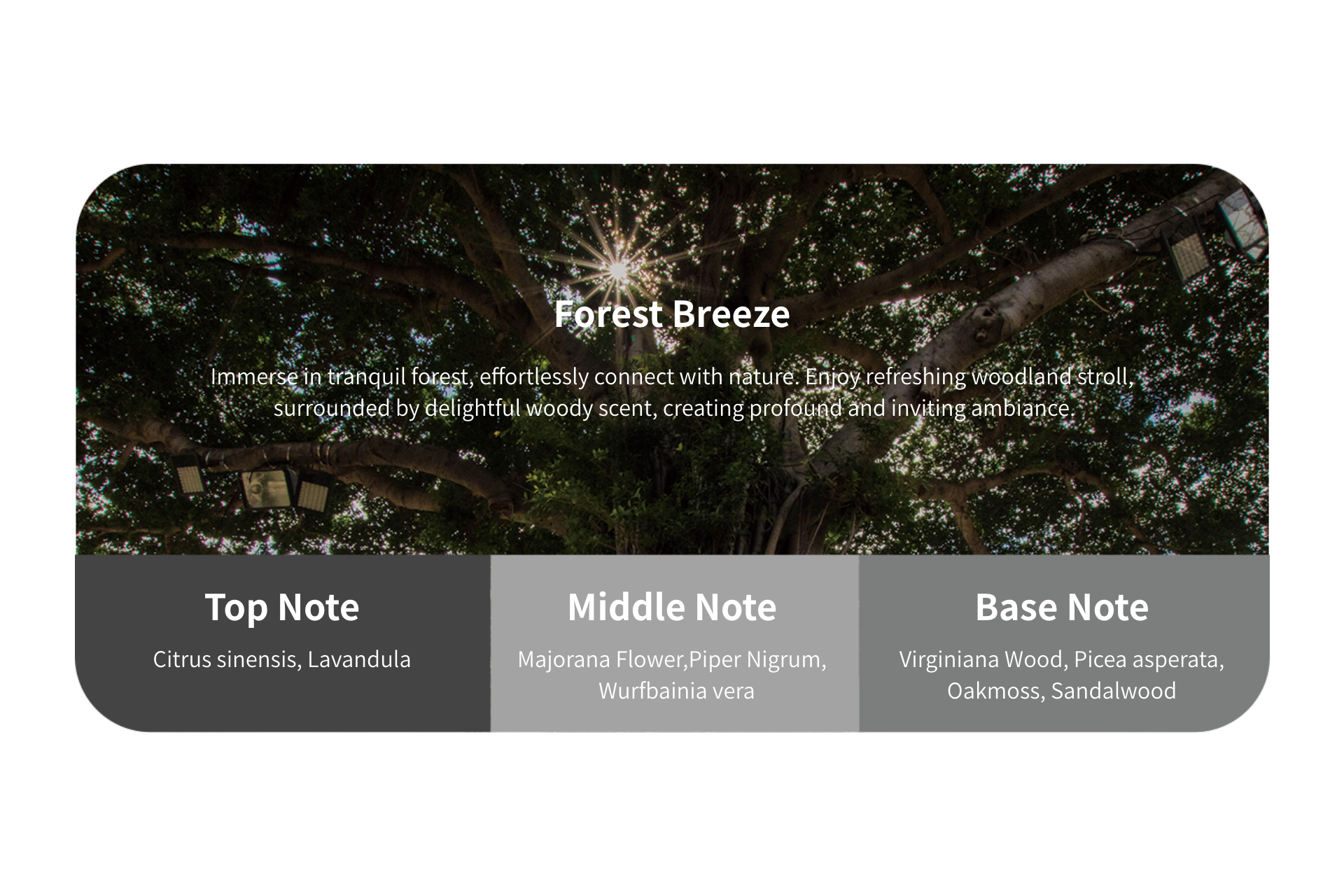 A canopy of large tree branches filters sunlight above; white text overlays show "Tesla Air Freshener for Model S/3/X/Y" by JOWUA, featuring plant-based essential oils and listing its botanical top, middle, and base notes.
