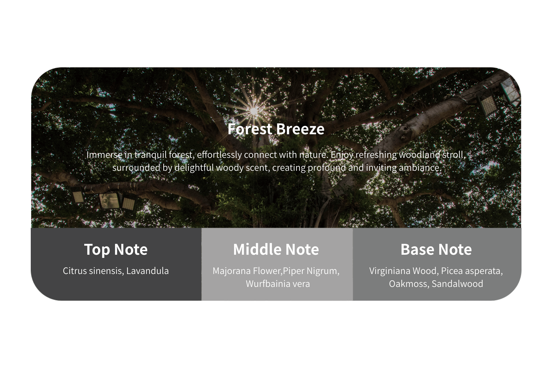 A canopy of large tree branches filters sunlight above; white text overlays show "Tesla Air Freshener for Model S/3/X/Y" by JOWUA, featuring plant-based essential oils and listing its botanical top, middle, and base notes.