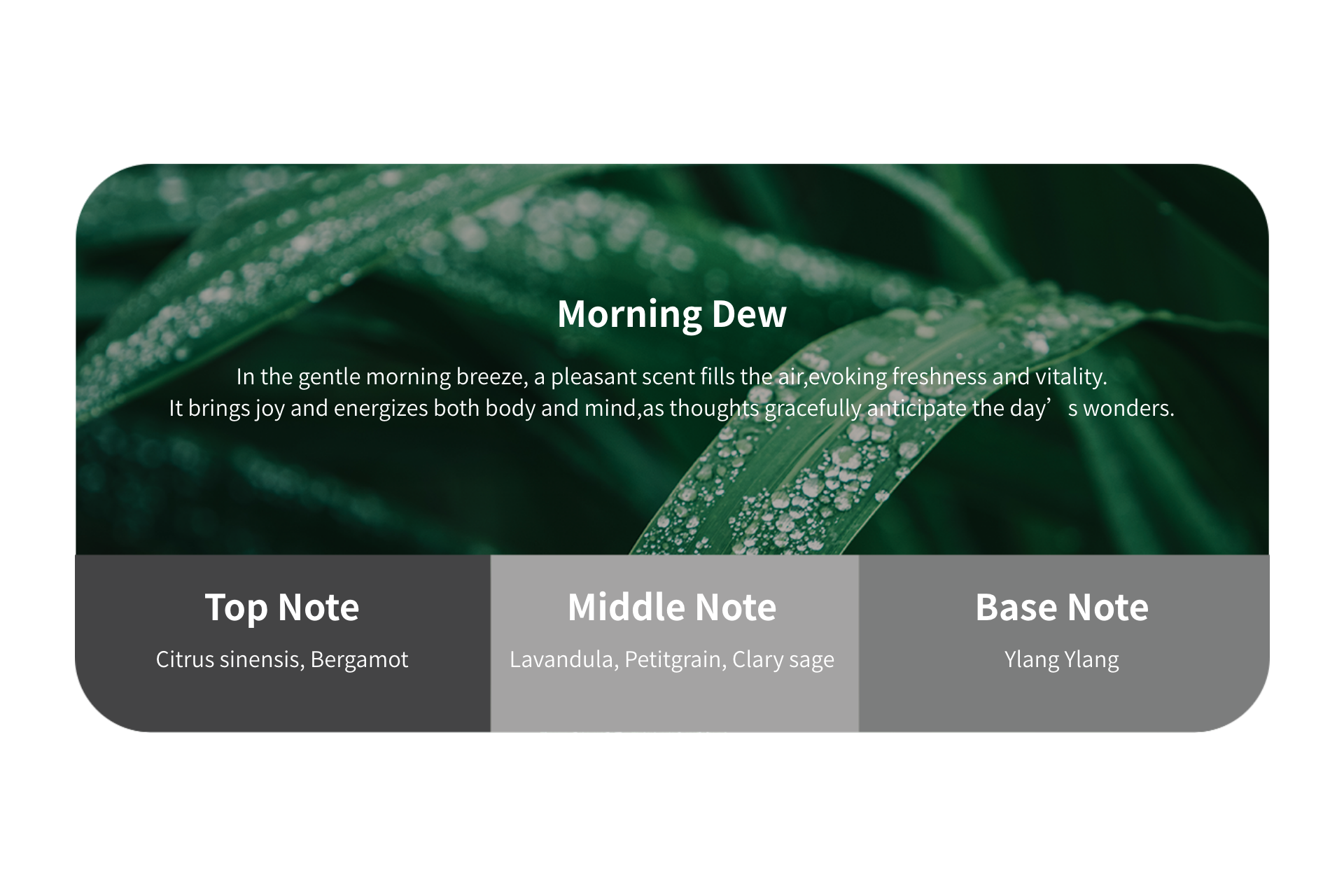 Jowua Air Freshener Morning Dew