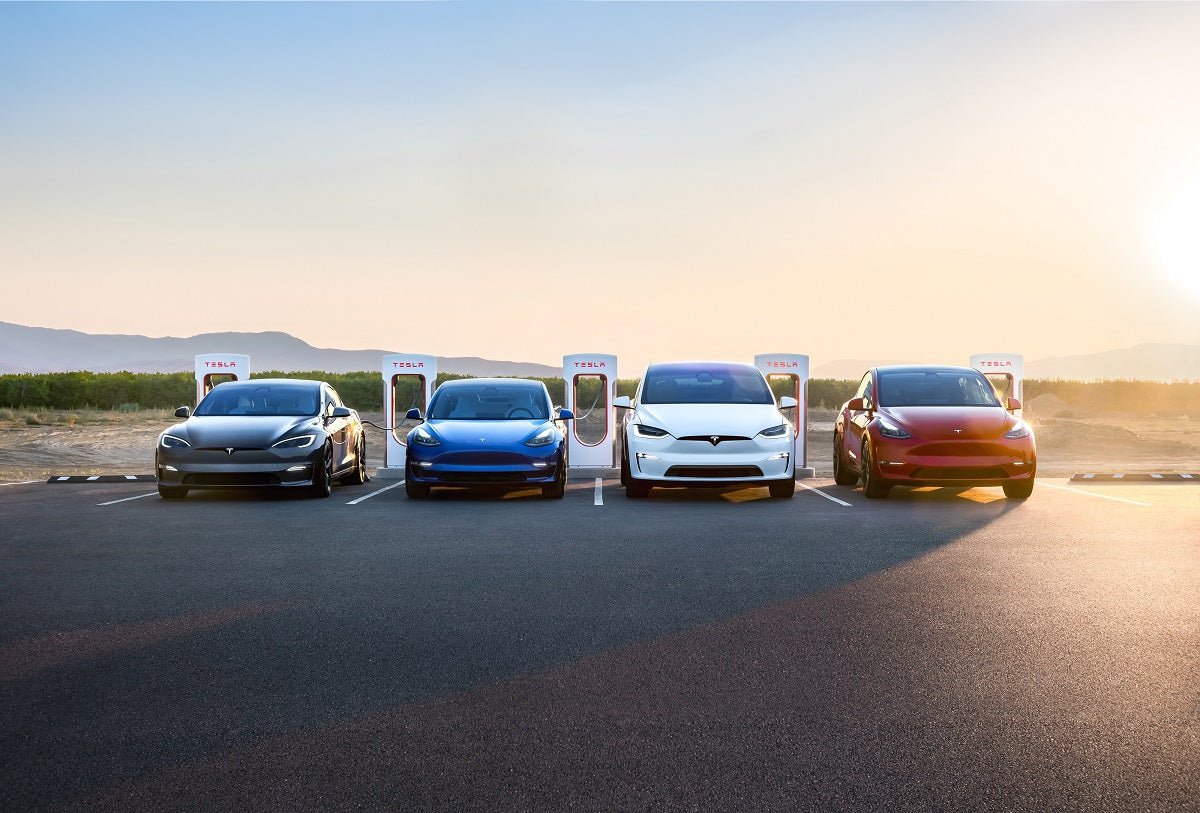 Tesla Proves Its Strength by Ending 2023 on Positive Note