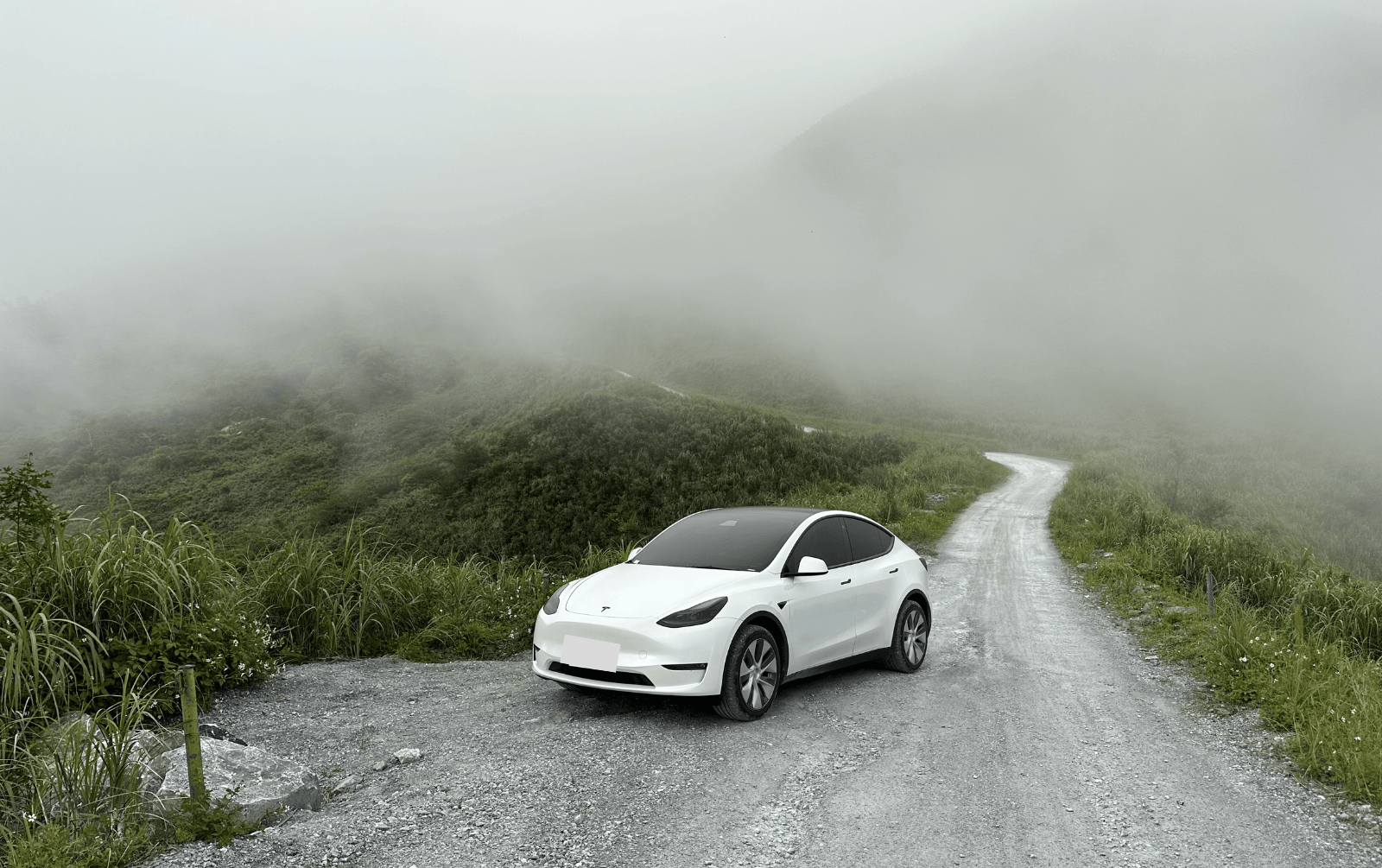 Tesla foggy weather
