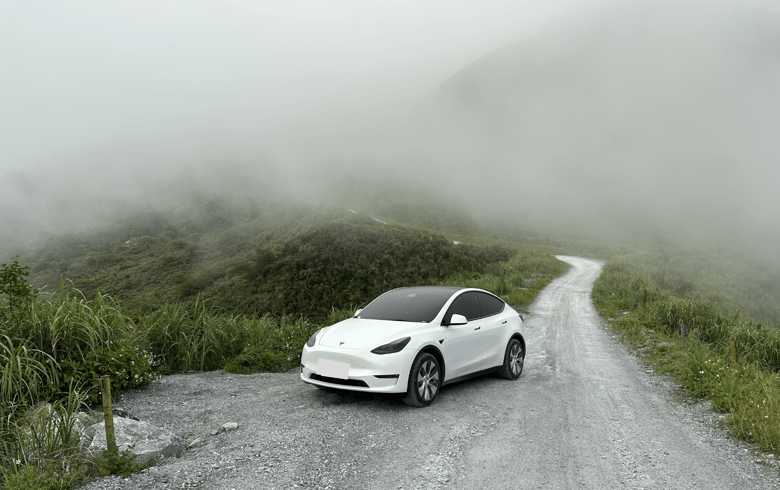 Tesla foggy weather