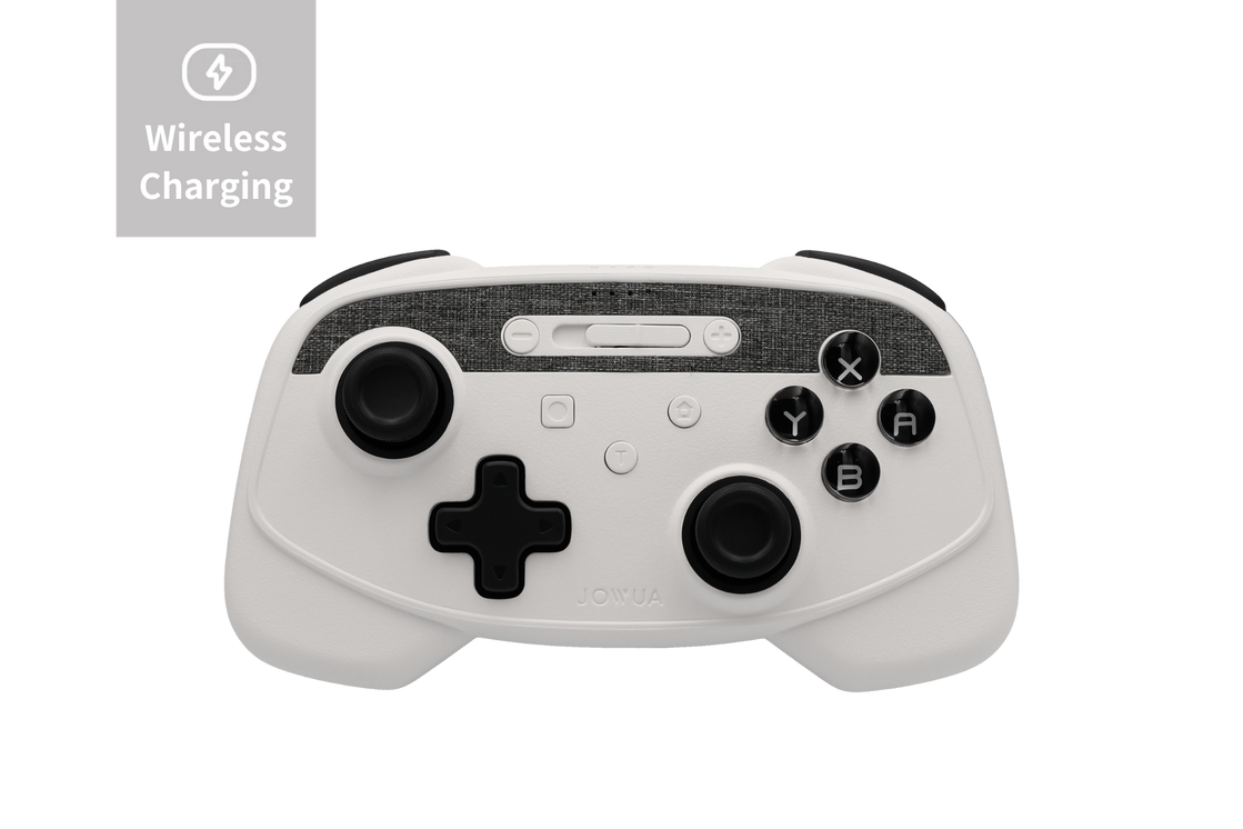 White Wireless Switch Controller Charger Wii Remote Charger, In